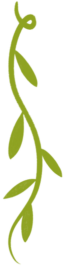 A long wavy light green vine with long narrow leaves alternating either side.