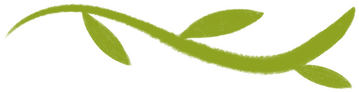 A short wavy light green vine with long narrow leaves alternating either side.